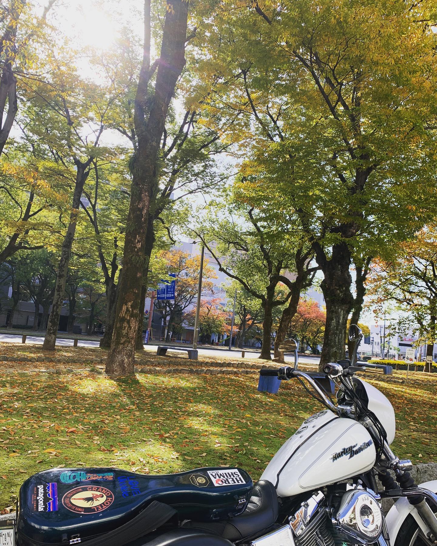 今日の天気はバイク日和じゃ。ツーリング気分でレッスン場所へ〜。#ウクレレレッスン#バイク日和